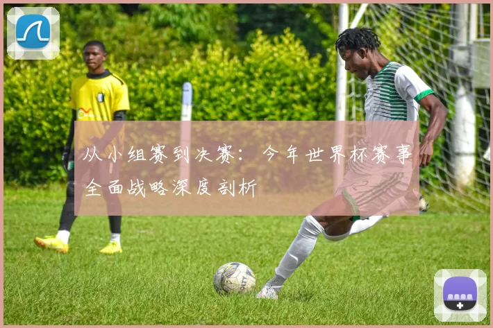 从小组赛到决赛：今年世界杯赛事全面战略深度剖析