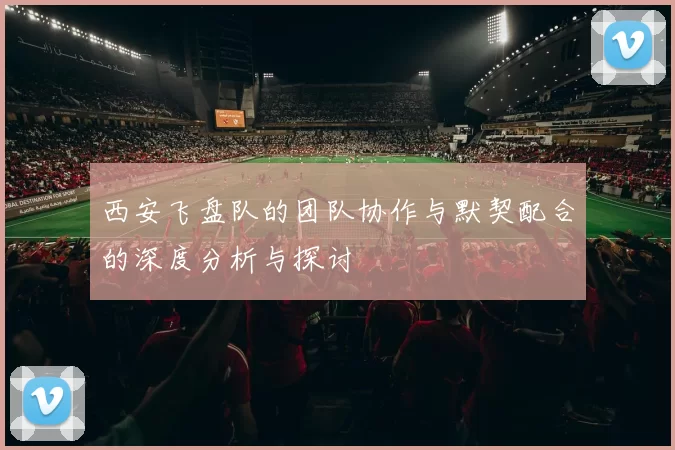 西安飞盘队的团队协作与默契配合的深度分析与探讨