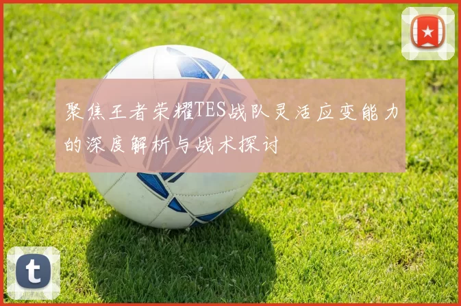 聚焦王者荣耀TES战队灵活应变能力的深度解析与战术探讨