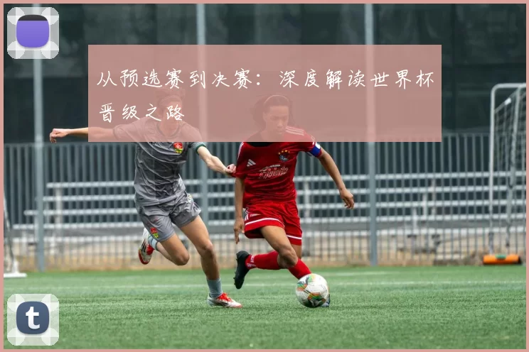 从预选赛到决赛:深度解读世界杯晋级之路