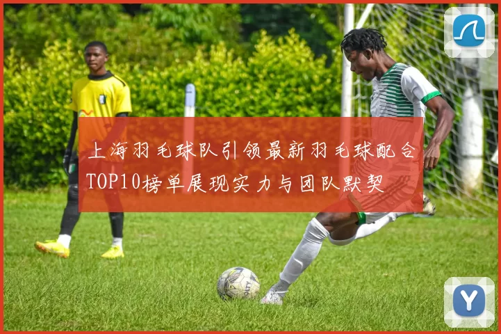 上海羽毛球队引领最新羽毛球配合TOP10榜单展现实力与团队默契