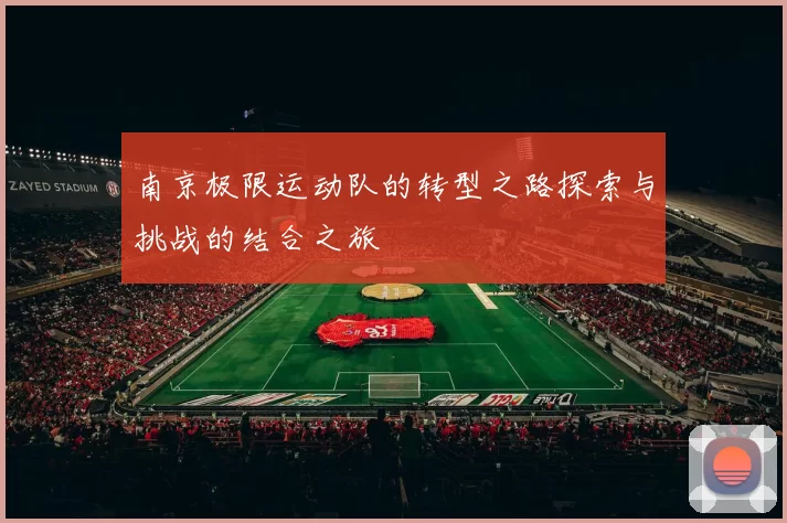 南京极限运动队的转型之路探索与挑战的结合之旅