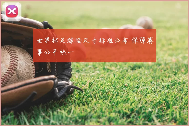 世界杯足球场尺寸标准公布 保障赛事公平统一