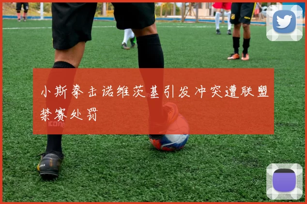 小斯拳击诺维茨基引发冲突遭联盟禁赛处罚