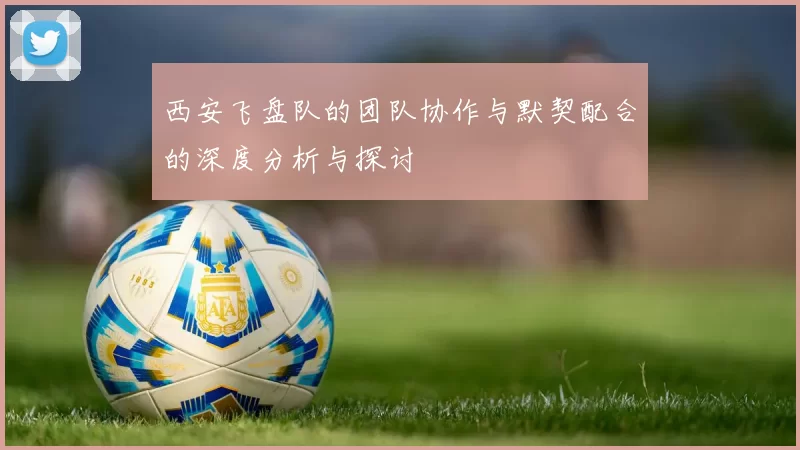 西安飞盘队的团队协作与默契配合的深度分析与探讨