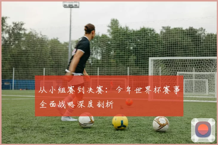 从小组赛到决赛：今年世界杯赛事全面战略深度剖析