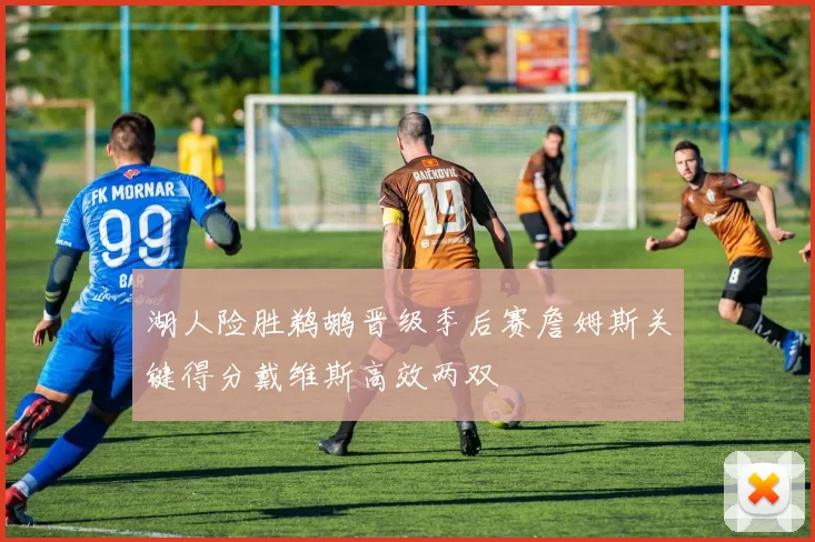 湖人险胜鹈鹕晋级季后赛詹姆斯关键得分戴维斯高效两双