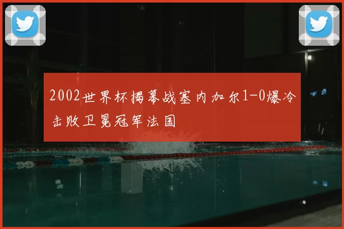 2002世界杯揭幕战塞内加尔1-0爆冷击败卫冕冠军法国