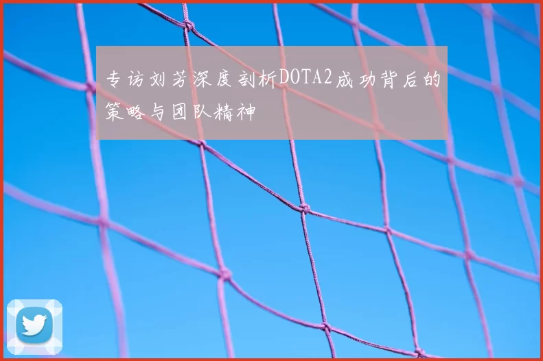 专访刘芳深度剖析DOTA2成功背后的策略与团队精神