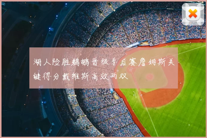 湖人险胜鹈鹕晋级季后赛詹姆斯关键得分戴维斯高效两双